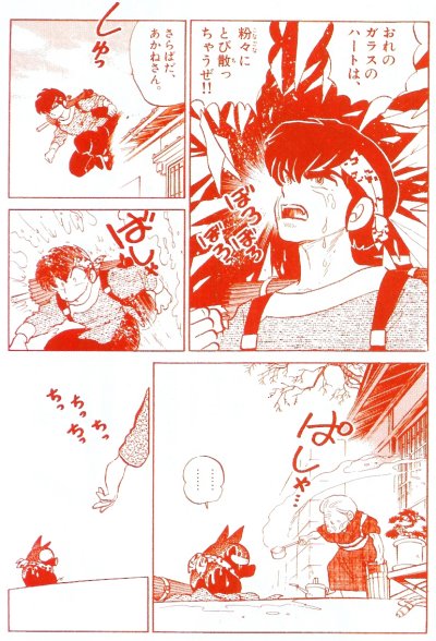 Ryoga Hibiki in the manga.